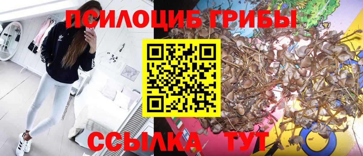 Псилоцибиновые грибы GOLDEN TEACHER Ялуторовск