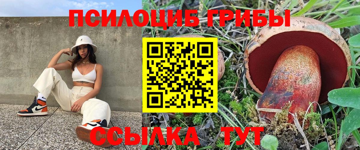 Галлюциногенные грибы Psilocybe  Вход с VPN  Ялуторовск 
